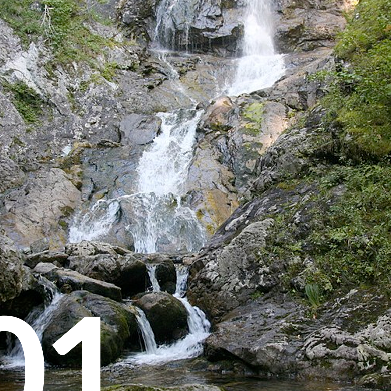 Free Excursions